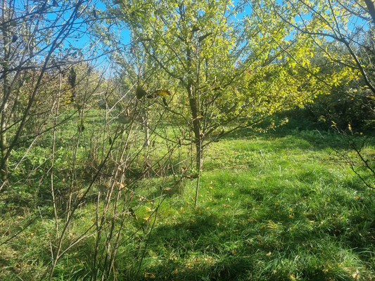 Продам участок 16,5 соток, ИЖС, Ленина ул, Урвань с, 0 км от города