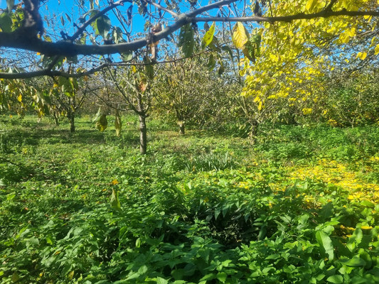 Продам участок 16,5 соток, ИЖС, Ленина ул, Урвань с, 0 км от города