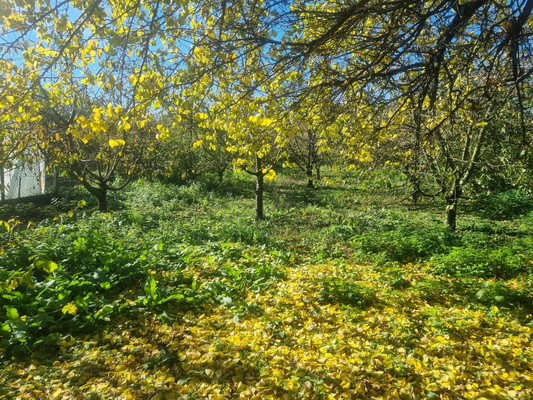 Продам участок 16,5 соток, ИЖС, Ленина ул, Урвань с, 0 км от города