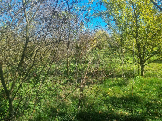 Продам участок 16,5 соток, ИЖС, Ленина ул, Урвань с, 0 км от города