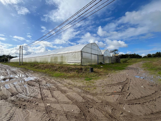 Продам склад 13 789 м2, Аграрная ул, 6, Переславское п