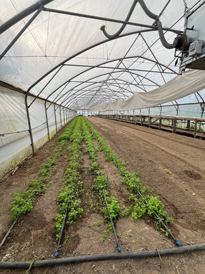 Продам склад 13 789 м2, Аграрная ул, 6, Переславское п