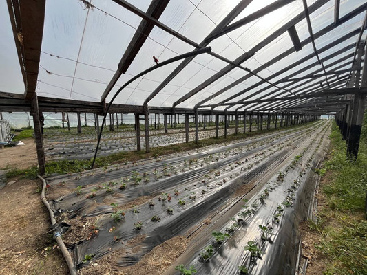 Продам склад 13 789 м2, Аграрная ул, 6, Переславское п