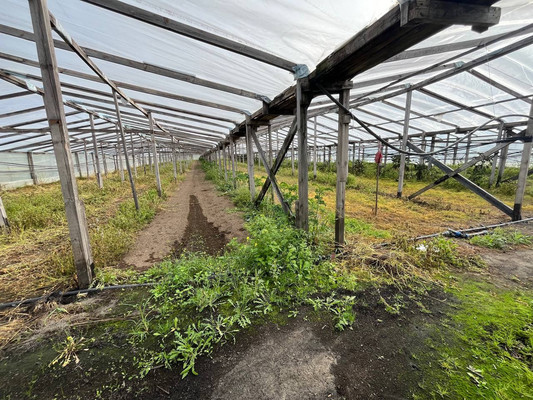 Продам склад 13 789 м2, Аграрная ул, 6, Переславское п