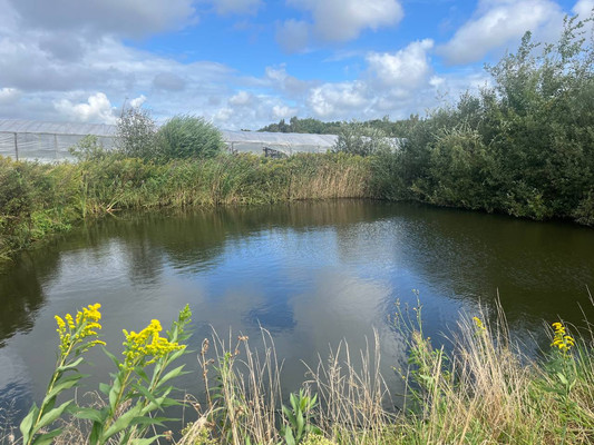 Продам склад 13 789 м2, Аграрная ул, 6, Переславское п