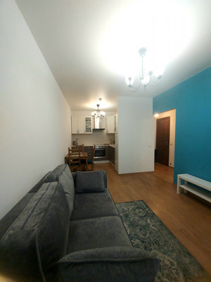 Продам однокомнатную (1-комн.) квартиру, Дальневосточный пр-кт, 12к2, Санкт-Петербург г