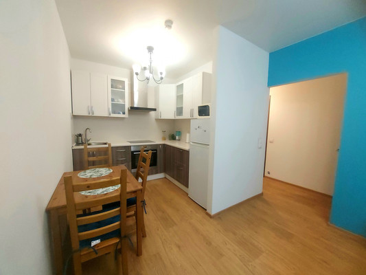 Продам однокомнатную (1-комн.) квартиру, Дальневосточный пр-кт, 12к2, Санкт-Петербург г