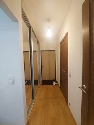 Продам однокомнатную (1-комн.) квартиру, Дальневосточный пр-кт, 12к2, Санкт-Петербург г