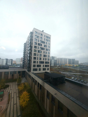 Продам однокомнатную (1-комн.) квартиру, Дальневосточный пр-кт, 12к2, Санкт-Петербург г