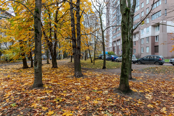 Продам двухкомнатную (2-комн.) квартиру, Замшина ул, 66А, Санкт-Петербург г