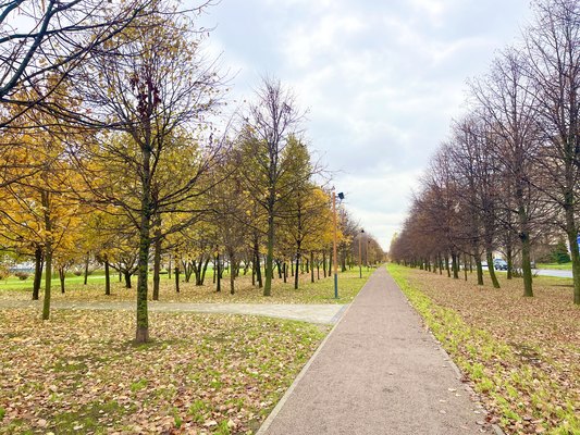 Продам трехкомнатную (3-комн.) квартиру, Александра Грина б-р, 2к1, Санкт-Петербург г