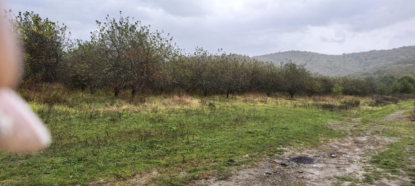 Продам землю для коммерческого использования 2 соток, Фермерское хоз., Анастасиевка с