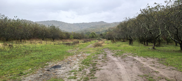 Продам землю для коммерческого использования 2 соток, Фермерское хоз., Анастасиевка с