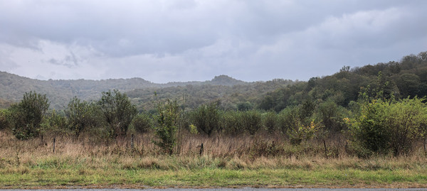 Продам землю для коммерческого использования 2 соток, Фермерское хоз., Анастасиевка с