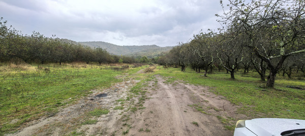 Продам землю для коммерческого использования 2 соток, Фермерское хоз., Анастасиевка с