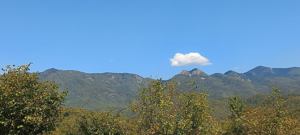 Продам землю для коммерческого использования 6 соток, Фермерское хоз., Анастасиевка с