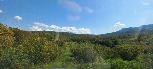 Продам землю для коммерческого использования 6 соток, Фермерское хоз., Анастасиевка с