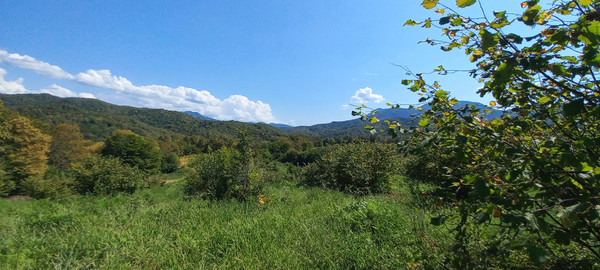 Продам землю для коммерческого использования 6 соток, Фермерское хоз., Анастасиевка с