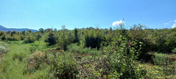 Продам землю для коммерческого использования 6 соток, Фермерское хоз., Анастасиевка с