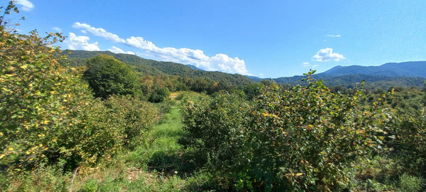 Продам землю для коммерческого использования 6 соток, Фермерское хоз., Анастасиевка с