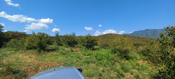 Продам землю для коммерческого использования 6 соток, Фермерское хоз., Анастасиевка с