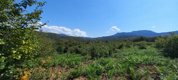 Продам землю для коммерческого использования 6 соток, Фермерское хоз., Анастасиевка с