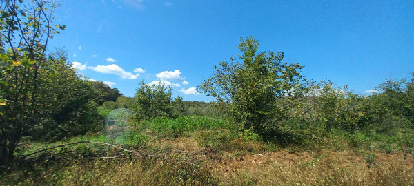 Продам землю для коммерческого использования 6 соток, Фермерское хоз., Анастасиевка с