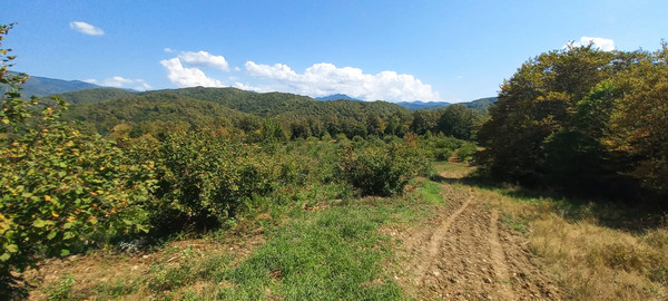 Продам землю для коммерческого использования 6 соток, Фермерское хоз., Анастасиевка с