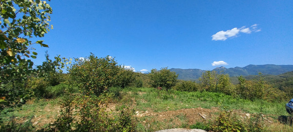 Продам землю для коммерческого использования 6 соток, Фермерское хоз., Анастасиевка с