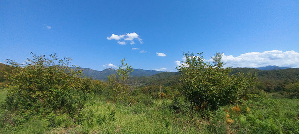 Продам землю для коммерческого использования 6 соток, Фермерское хоз., Анастасиевка с