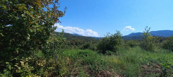 Продам землю для коммерческого использования 6 соток, Фермерское хоз., Анастасиевка с