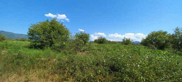 Продам землю для коммерческого использования 6 соток, Фермерское хоз., Анастасиевка с