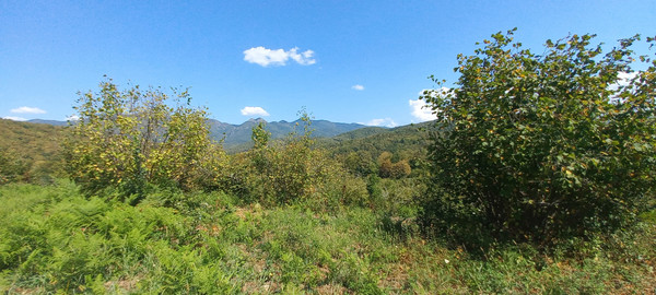 Продам землю для коммерческого использования 6 соток, Фермерское хоз., Анастасиевка с