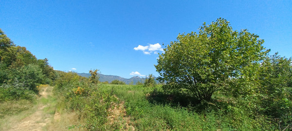 Продам землю для коммерческого использования 6 соток, Фермерское хоз., Анастасиевка с