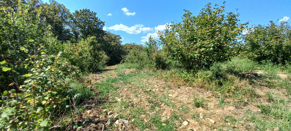 Продам землю для коммерческого использования 6 соток, Фермерское хоз., Анастасиевка с