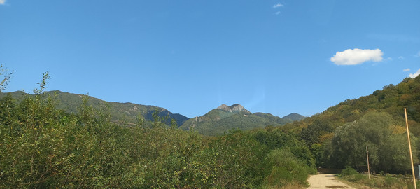 Продам землю для коммерческого использования 6 соток, Фермерское хоз., Анастасиевка с