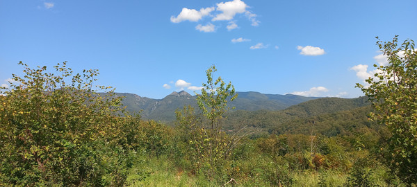 Продам землю для коммерческого использования 6 соток, Фермерское хоз., Анастасиевка с