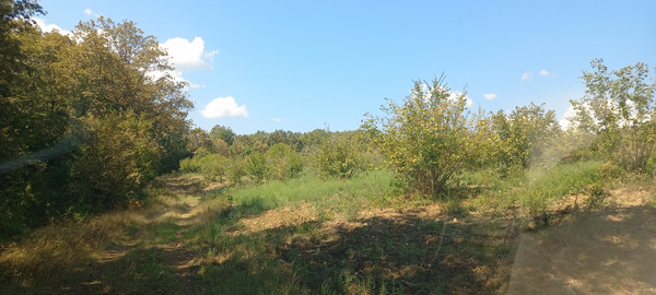 Продам землю для коммерческого использования 6 соток, Фермерское хоз., Анастасиевка с