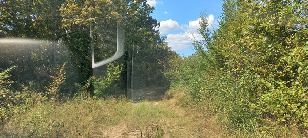 Продам землю для коммерческого использования 6 соток, Фермерское хоз., Анастасиевка с