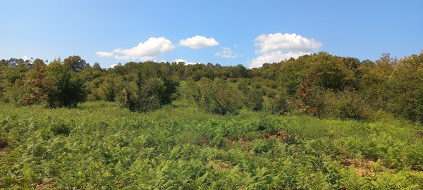 Продам землю для коммерческого использования 6 соток, Фермерское хоз., Анастасиевка с