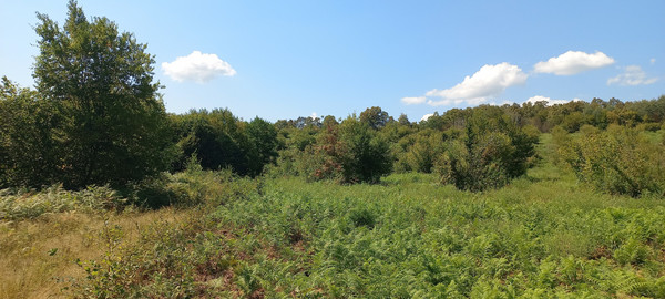 Продам землю для коммерческого использования 6 соток, Фермерское хоз., Анастасиевка с