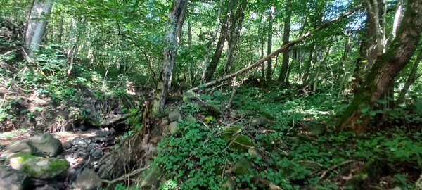 Продам землю для коммерческого использования 8 соток, Фермерское хоз., Анастасиевка с