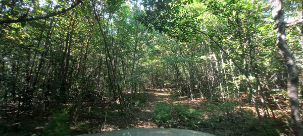 Продам землю для коммерческого использования 8 соток, Фермерское хоз., Анастасиевка с