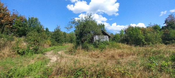 Продам землю для коммерческого использования 8 соток, Фермерское хоз., Анастасиевка с