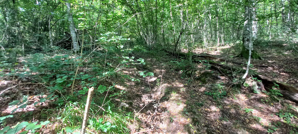 Продам землю для коммерческого использования 8 соток, Фермерское хоз., Анастасиевка с