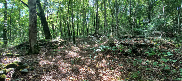 Продам землю для коммерческого использования 8 соток, Фермерское хоз., Анастасиевка с