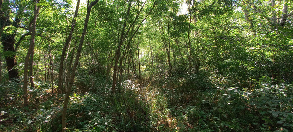 Продам землю для коммерческого использования 8 соток, Фермерское хоз., Анастасиевка с