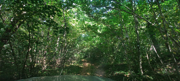 Продам землю для коммерческого использования 8 соток, Фермерское хоз., Анастасиевка с