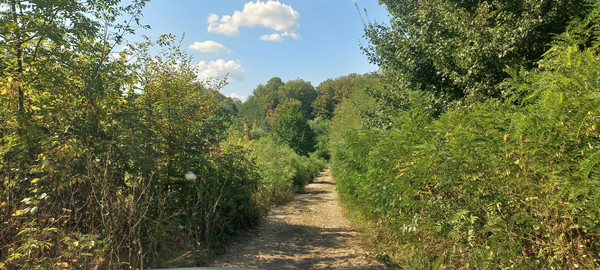 Продам землю для коммерческого использования 8 соток, Фермерское хоз., Анастасиевка с