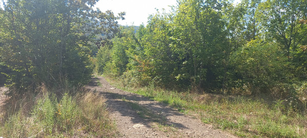 Продам землю для коммерческого использования 8 соток, Фермерское хоз., Анастасиевка с